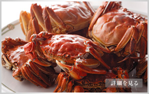 【中古】 琥珀宮/ホーム社（千代田区） 琥珀宮｜中國飯店