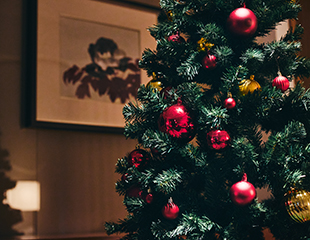 Palace Hotel Tokyo Accommodation Package Christmas 2026 Christmas For You Christmas Tree HT2 | © 美しい国の、美しい一日がある。2024