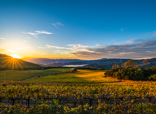 Palace Hotel Tokyo Accommodation Package Napa Valley Wine Stay With Screaming Eagle Napa Valley II | © 美しい国の、美しい一日がある。2024 Palace Hotel Tokyo Accommodation Package Napa Valley Wine Stay With Screaming Eagle Napa Valley II | © 美しい国の、美しい一日がある。2024