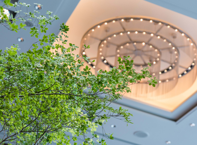 Palace Hotel Tokyo – Banquet Room Chandelier – H2