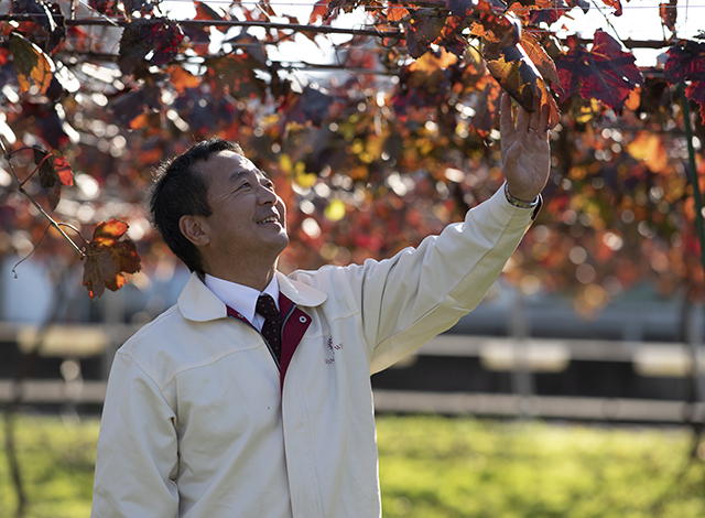 Palace Hotel Tokyo Collaboration Event Grand Kitchen Japanese Wine Journey Manns Wines Komoro Winery Dai Shimazaki | © 美しい国の、美しい一日がある。2024 Palace Hotel Tokyo Collaboration Event Grand Kitchen Japanese Wine Journey Manns Wines Komoro Winery Dai Shimazaki | © 美しい国の、美しい一日がある。2024