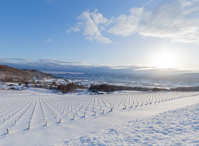 Palace Hotel Tokyo Collaboration Event Grand Kitchen Japanese Wine Journey Niki Hills Winery | © 美しい国の、美しい一日がある。2024