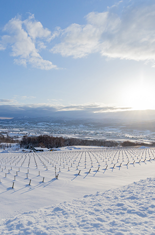 Palace Hotel Tokyo Collaboration Event Grand Kitchen Japanese Wine Journey Niki Hills Winery T2 | © 美しい国の、美しい一日がある。2024 Palace Hotel Tokyo Collaboration Event Grand Kitchen Japanese Wine Journey Niki Hills Winery T2 | © 美しい国の、美しい一日がある。2024
