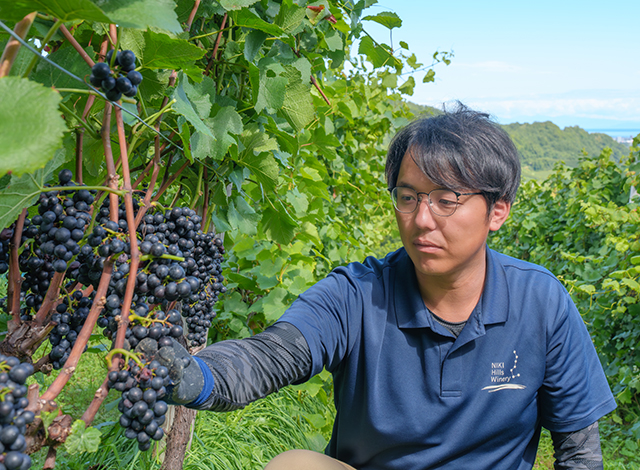 Palace Hotel Tokyo Collaboration Event Grand Kitchen Japanese Wine Journey Niki Hills Winery Yuki Kuraoka II | © 美しい国の、美しい一日がある。2024