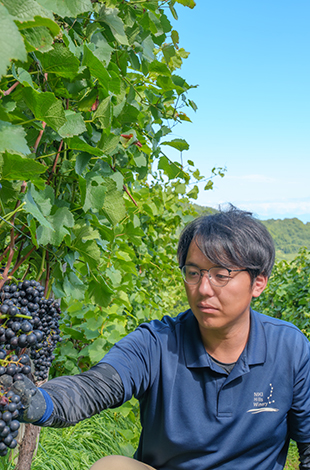 Palace Hotel Tokyo Collaboration Event Grand Kitchen Japanese Wine Journey Niki Hills Winery Yuki Kuraoka T2 | © 美しい国の、美しい一日がある。2024