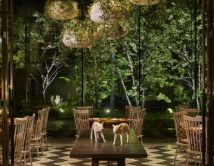 Palace Hotel Tokyo Grand Kitchen Garden Room Evening 2023 FF2 | © 美しい国の、美しい一日がある。2024 Palace Hotel Tokyo Grand Kitchen Garden Room Evening 2023 FF2 | © 美しい国の、美しい一日がある。2024