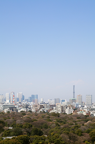 Palace Hotel Tokyo – Guestroom Balcony View – T2