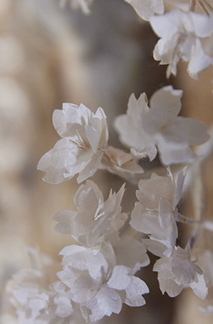 Palace Hotel Tokyo Sakura Installation 2026 The Flower Of Beginning T2 | © 美しい国の、美しい一日がある。2024 Palace Hotel Tokyo Sakura Installation 2026 The Flower Of Beginning T2 | © 美しい国の、美しい一日がある。2024