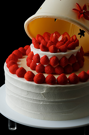 クリスマスケーキ シュトーレン スイーツ デリ パレスホテル東京 クリスマスケーキ シュトーレン スイーツ デリ パレスホテル東京