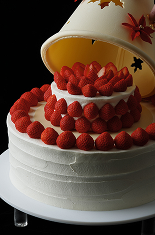 Palace Hotel Tokyo – Sweets & Deli – Christmas – Poinsettia